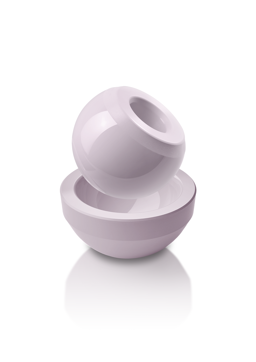 CeramTec BIOLOX — Official ceramic femoral-head and bearing components.